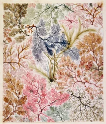 Motif textile, vers 1788-92